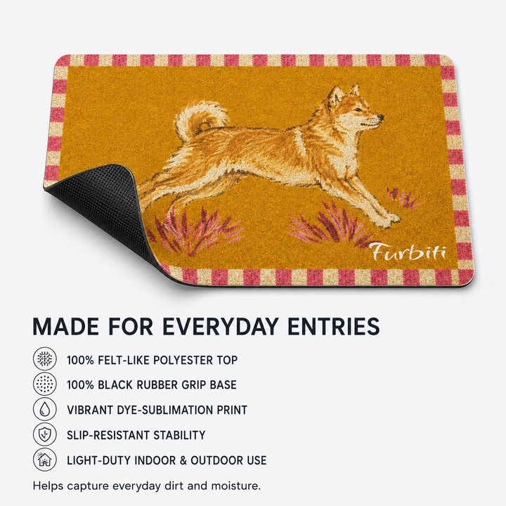 Running pet doormat material and feature overview